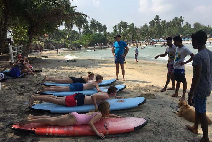 Curso de surf en Arugam Bay