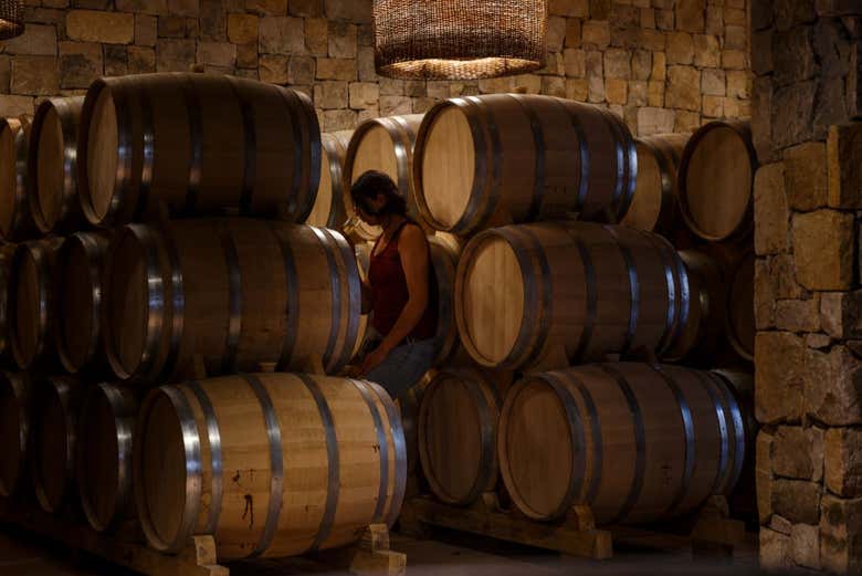 Tour del pisco, el vino y la cerveza por el Valle del Elqui