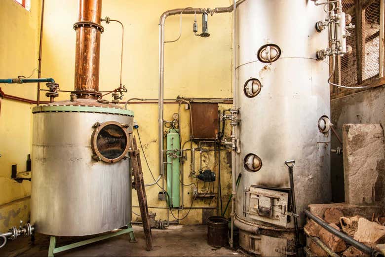 Tour del pisco por el Valle del Elqui