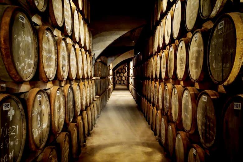 Tour del pisco por el Valle del Elqui
