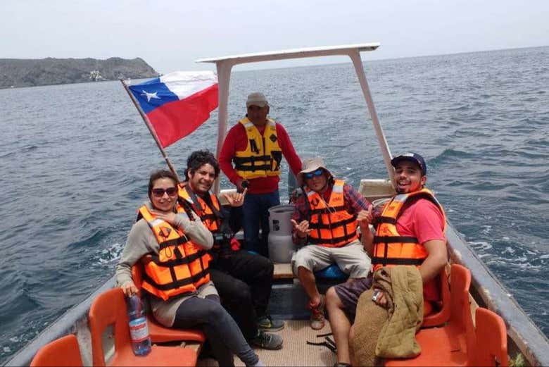 Avistamiento de ballenas en Chañaral de Aceituno