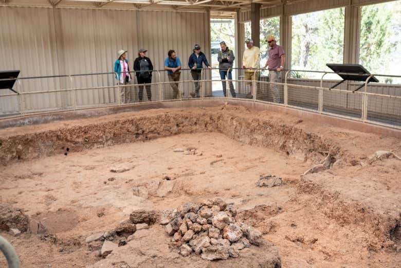Excursión al Parque Nacional Mesa Verde