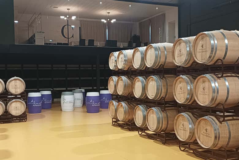 Visita a la bodega Palacio de Villachica