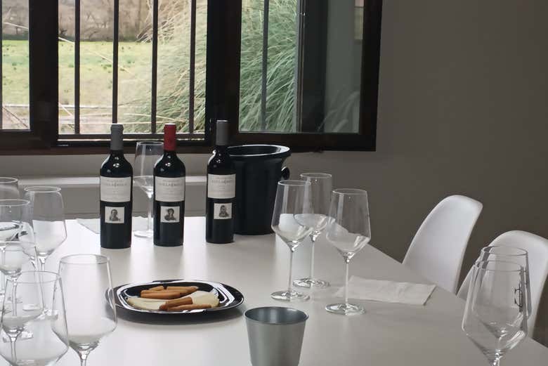 Visita a la bodega Palacio de Villachica