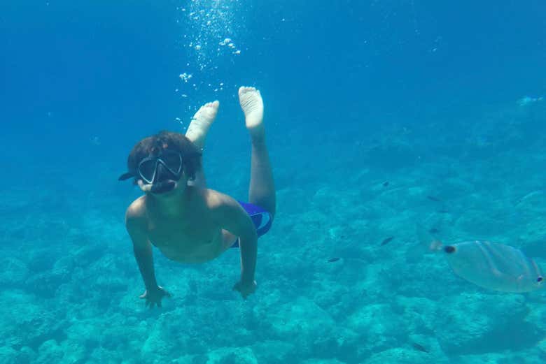 Snorkel en el Parque Natural de Porto Conte