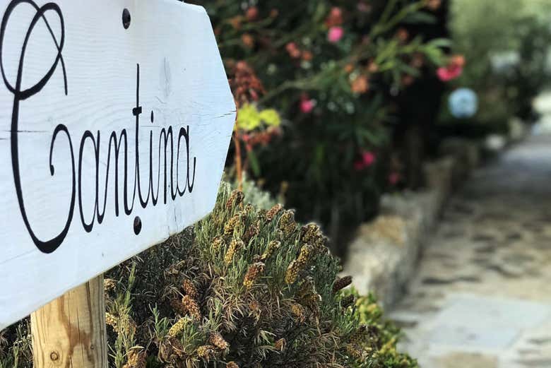 Visita a la bodega Locanda Murales con degustación