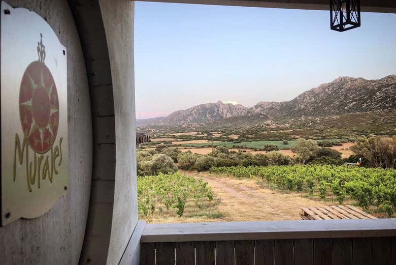 Visita a la bodega Locanda Murales con degustación