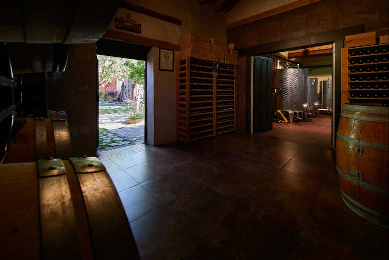 Visita a la bodega Las dos Antiguas