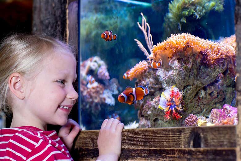 Entrada a SEA LIFE® Paris