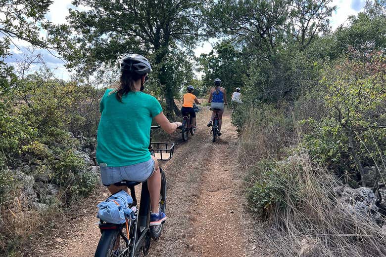 Tour en bicicleta eléctrica por los alrededores de Gioia del Colle