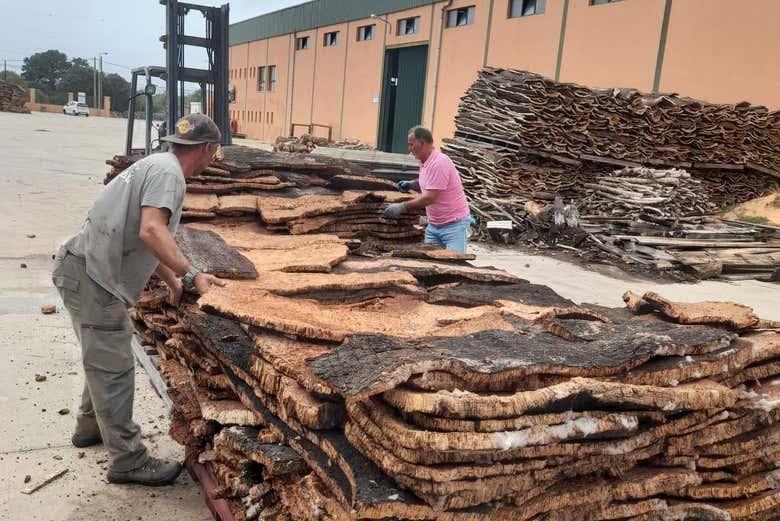 Visita a una fábrica de corcho
