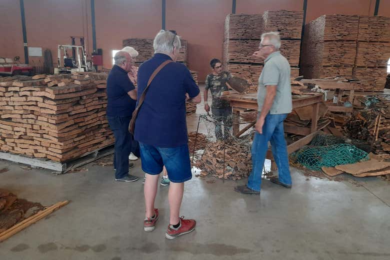 Visita a una fábrica de corcho