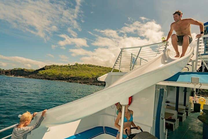 Paseo en barco por la costa de Kona con avistamiento de delfines
