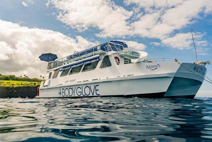 Paseo en barco por la costa de Kona con avistamiento de delfines