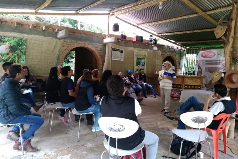 Visita a una finca cafetera