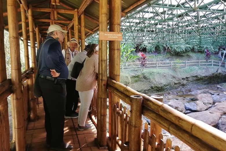 Excursión de 2 días a San Agustín - Galería 1