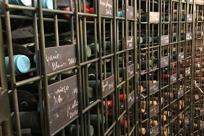 Visita a las Bodegas Viñátigo