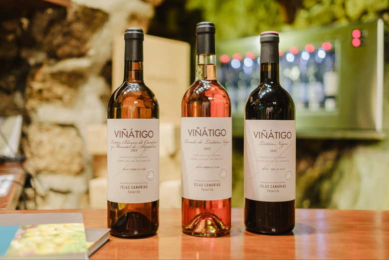 Visita a las Bodegas Viñátigo