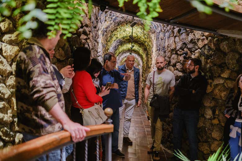 Visita a las Bodegas Viñátigo