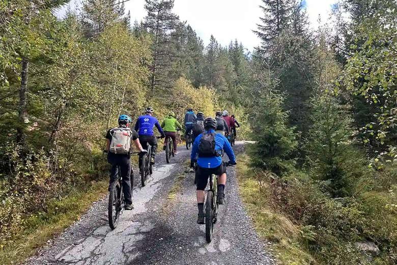 Tour en bicicleta por el bosque de Voss