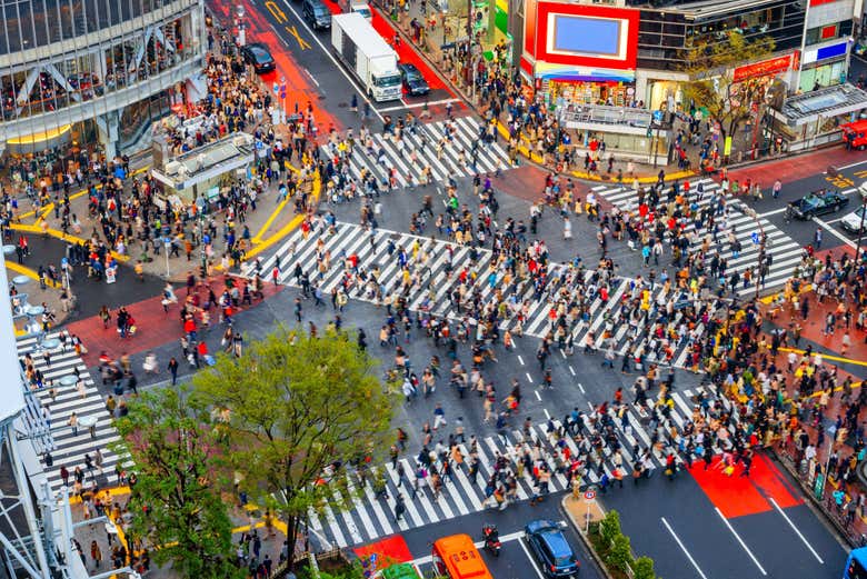 Free tour por Shibuya