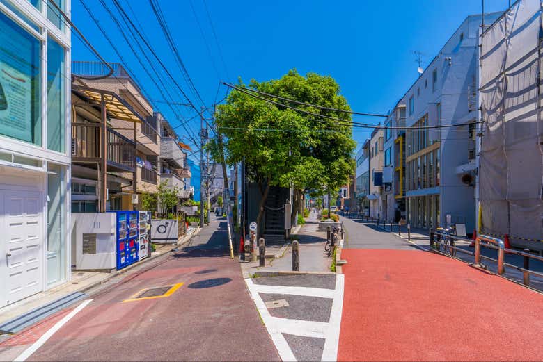 Free tour por Shibuya