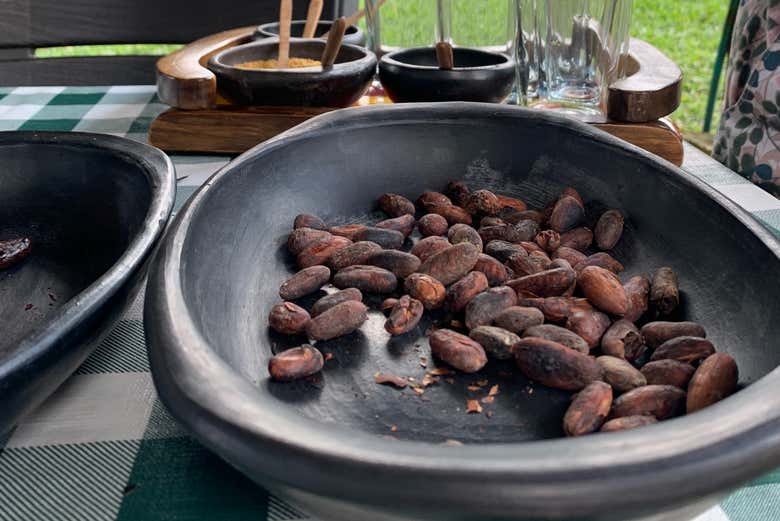 Visita a una finca de cacao