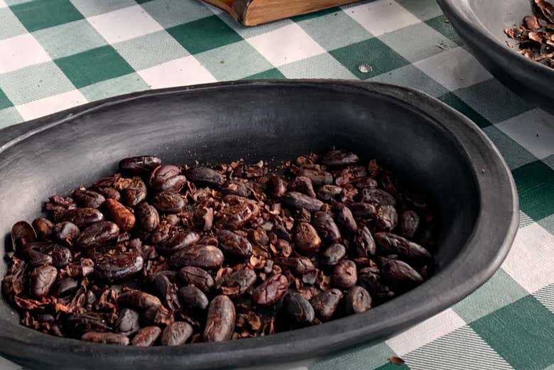 Visita a una finca de cacao