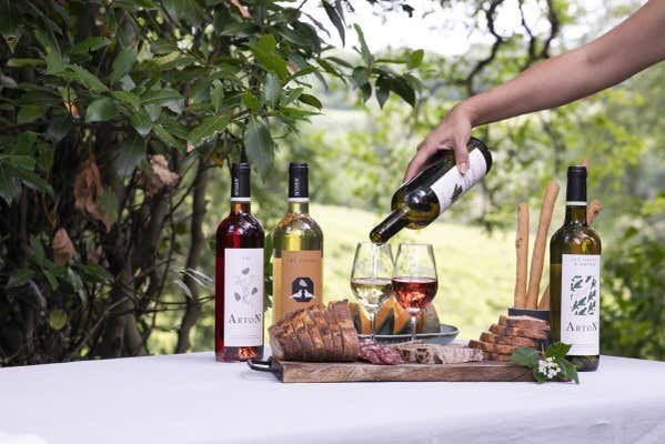 Visita a la bodega Château Arton