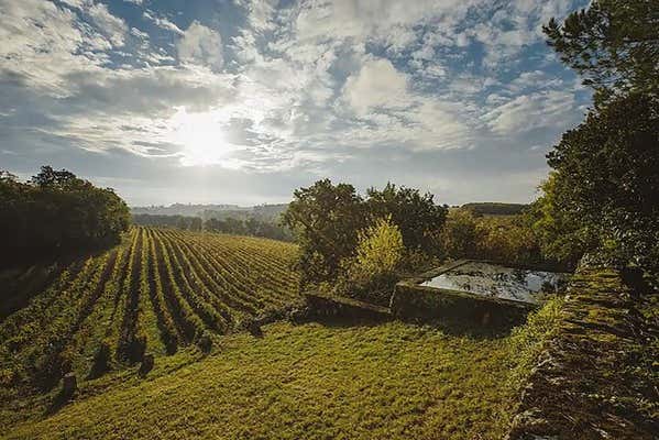 Visita a la bodega Château Arton