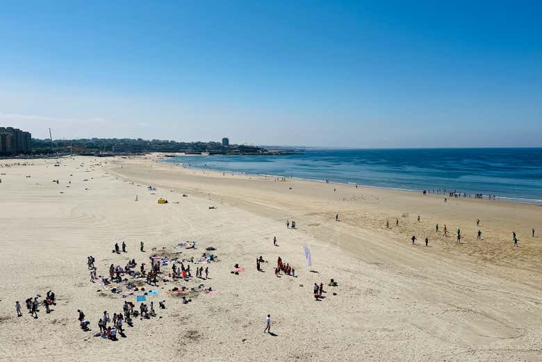 Tour del pescado por Matosinhos