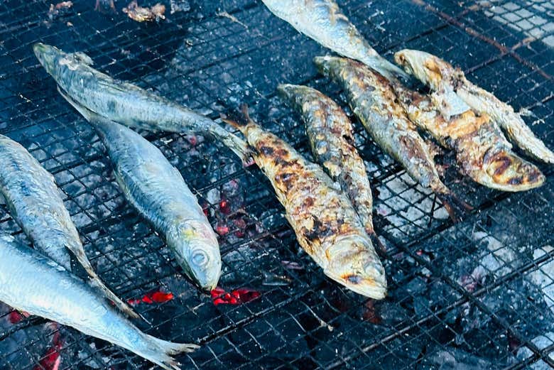 Tour del pescado por Matosinhos