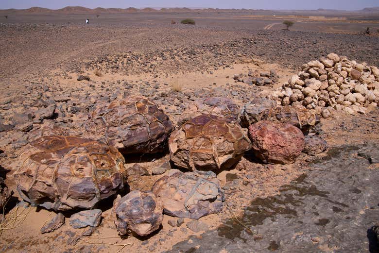 Tour en 4x4 por el desierto y la cantera de fósiles de Erfoud