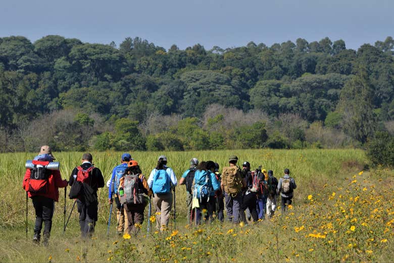 Trekking por las Yungas de Tucumán