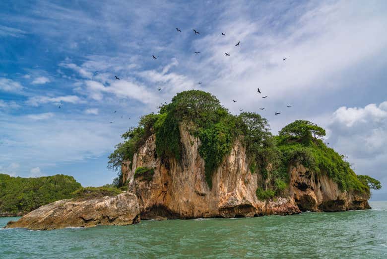 Excursión al Parque Nacional Los Haitises - Galería 1
