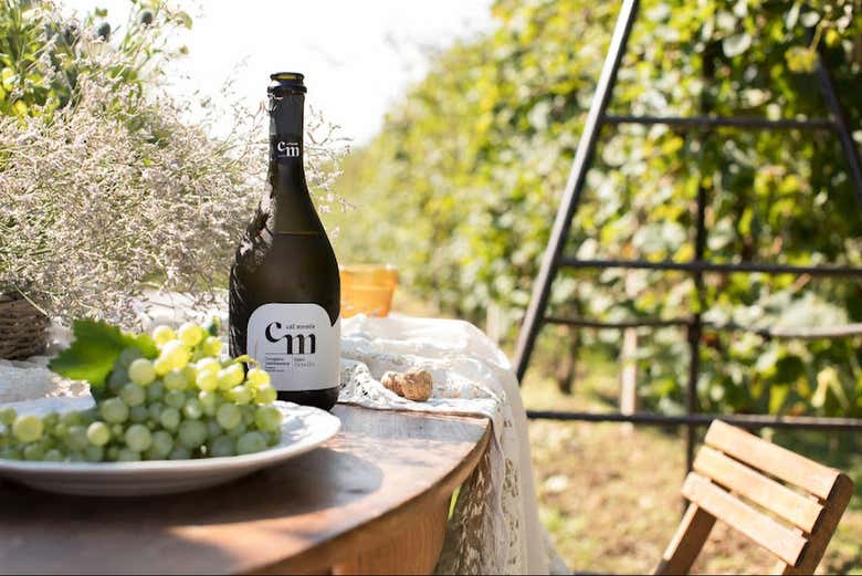 Visita a la bodega Cal Monda