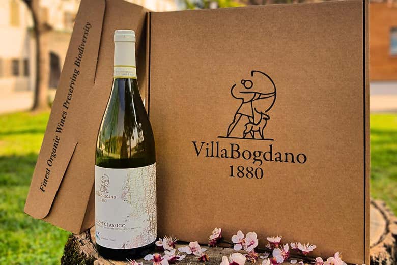 Visita a la bodega Villa Bogdano 1880