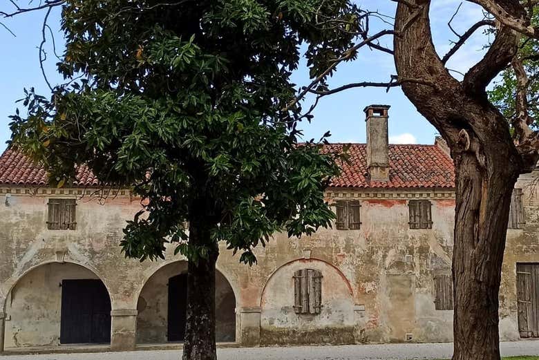 Visita a la bodega Villa Bogdano 1880