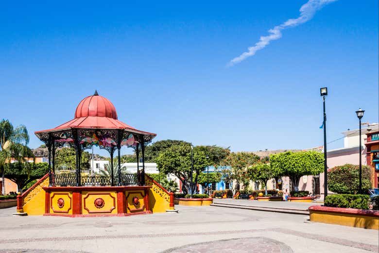 Tour panorámico por Tequila + Visita a la destilería Orendain