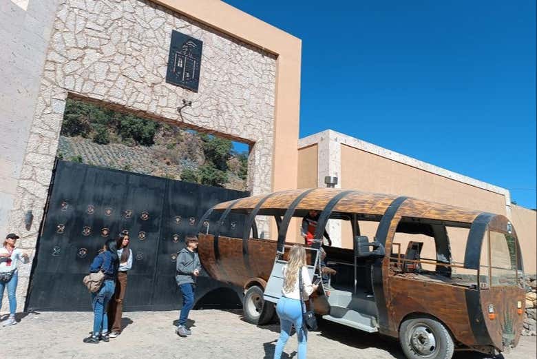 Tour panorámico por Tequila + Visita a la destilería Orendain