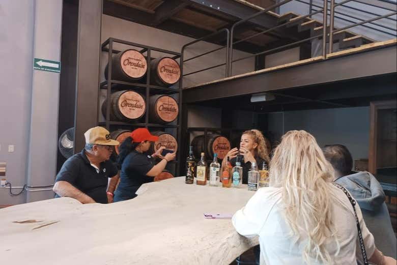 Tour panorámico por Tequila + Visita a la destilería Orendain