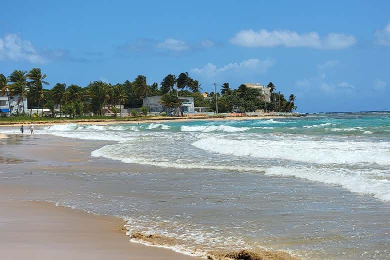Tour por el Bosque El Yunque + Playas de Luquillo