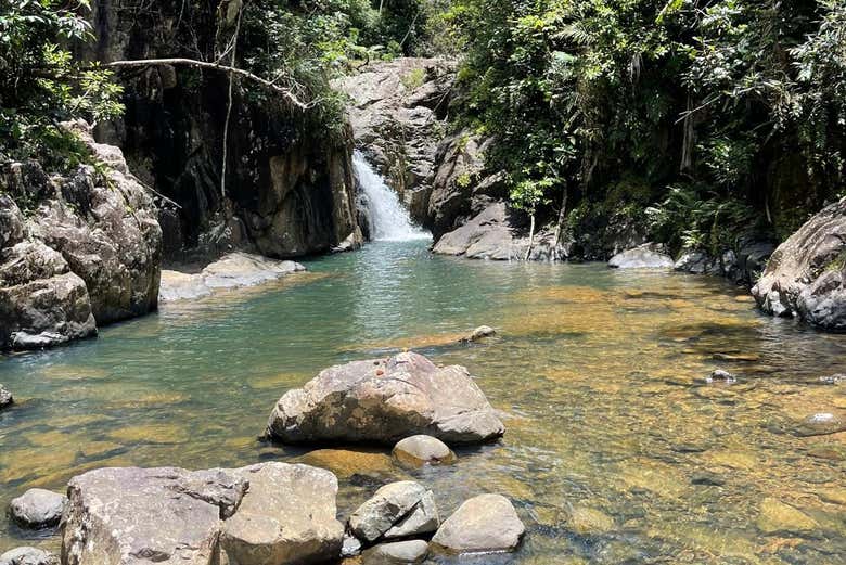 Tour por el Bosque El Yunque + Playas de Luquillo