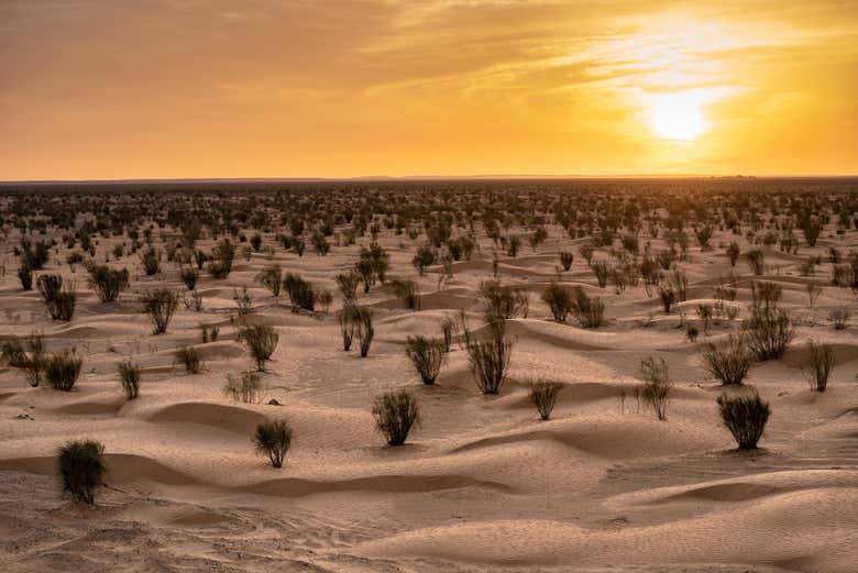 Excursión a Ksar Ghilane y Matmata