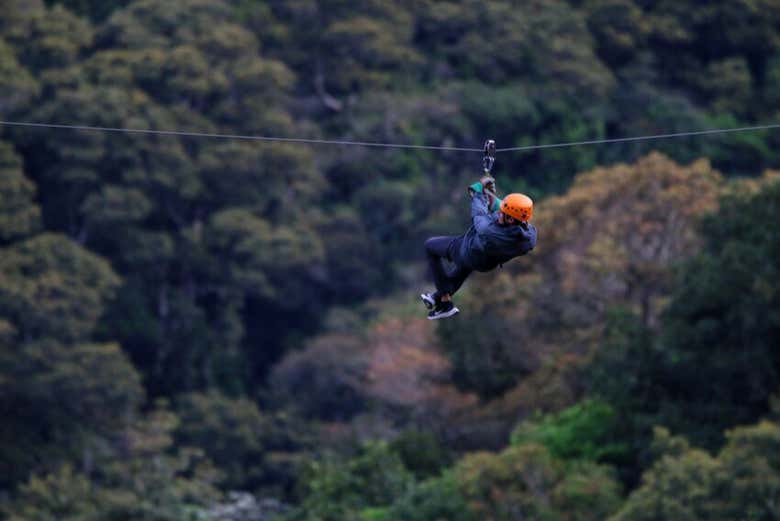 Entrada al parque de aventura Tree Trek Boquete + Actividades
