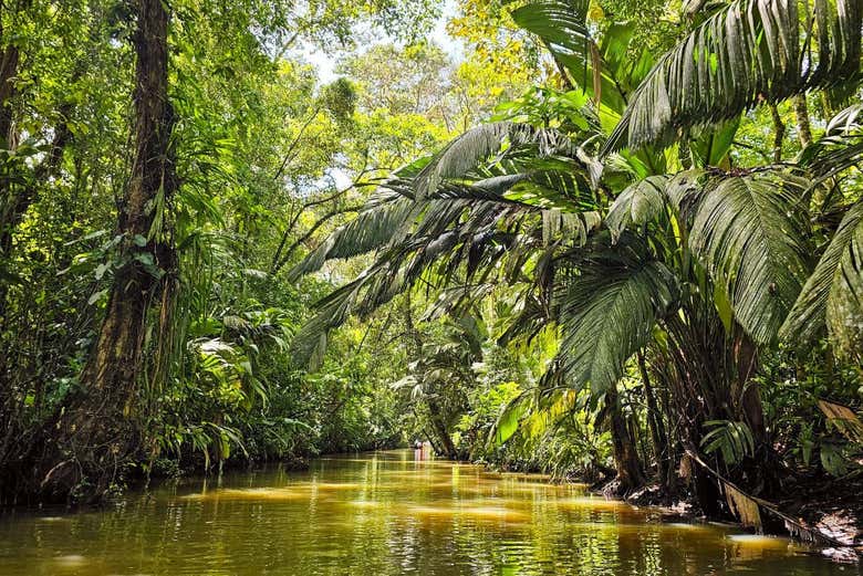Tour en kayak por el Parque Nacional Tortuguero