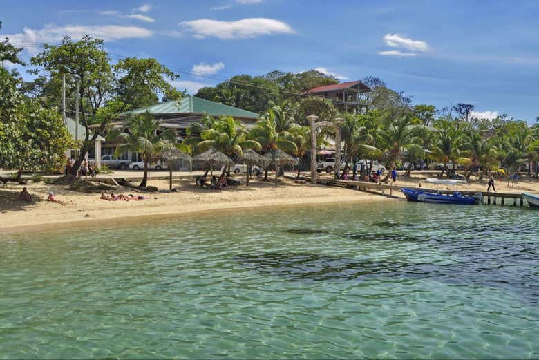 Tour por Roatán para cruceros