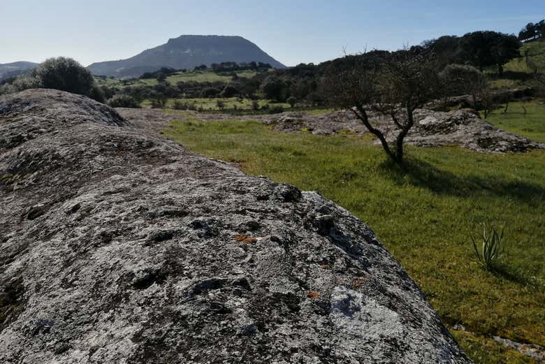 Excursión a la necrópolis de Puttu Codinu y Nuraghe Appiu