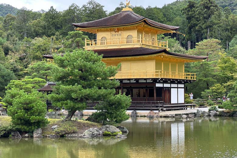 Tour por lo mejor de Kioto