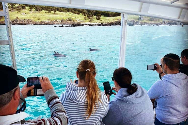 Paseo en barco por Isla Canguro